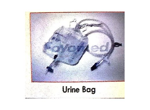 Urine Bag