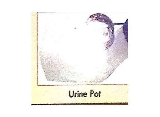 Urine Pot