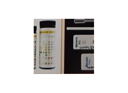 Urine Strips