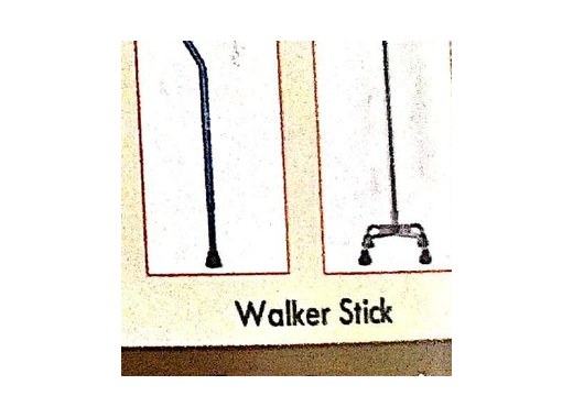 Walker Stick